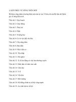 CÁC KẾT QUẢ THỰC HIỆN XÂY DỰNG NÔNG THÔN MỚI CỦA VIỆT NAM GIAI ĐOẠN 20102015