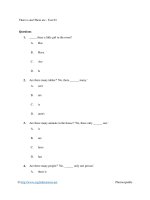 There is and there are   test 03 