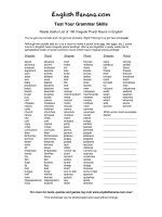 list of 100 irregular plural nouns in english 