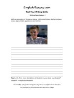 writing descriptions 1 ev85 