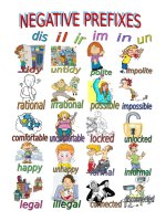 48963 negative prefixes1 