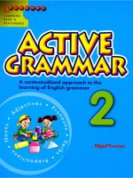 active grammar vol 2 
