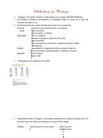 Secuencia 9th july 2016 