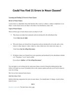 Could you find 21 errors in noun clauses 
