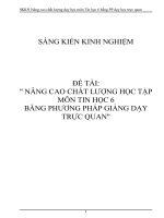 SKKN phuong phap day hoc truc quan