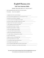 question tags using verbs can will and must 2 ig8 