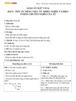 Giáo án Ngữ văn 6 tuần 5 tiết 19