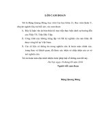 Nghiên cứu tác dụng giảm đau của hỗn hợp ropivacain – fentanyl qua catheter ngoài màng cứng do bệnh nhân tự điều khiển sau phẫu thuật lấy sỏi thận – niệu quản