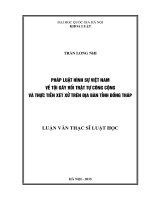 Pháp luật hình sự việt nam về tội gây rối trật tự công cộng và thực tiễn xét xử trên địa bàn tỉnh đồng tháp (trên cơ sở nghiên cứu thực tiễn địa bàn tỉnh đồng tháp) 