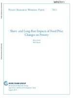 Short and LongRun Impacts of Food Price Changes on Poverty