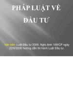 BÀI GIẢNG PHÁP LUẬT về đầu tư 