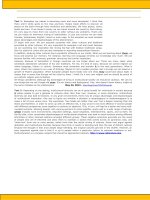 62517 advantages and disadvantages of a multicultural society 