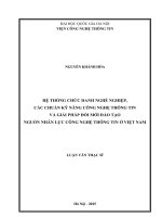Hệ thống chức danh nghề nghiệp, các chuẩn kỹ năng công nghiệp thông tin và giải pháp đổi mới đào tạo nguồn nhân lực công nghệ thông tin ở việt nam 