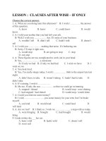 LESSON   CLAUSES AFTER WISH – IF ONLY