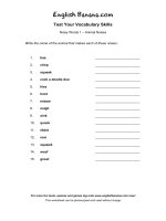 noisy words 1 animal noises av1 