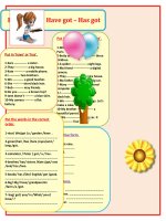 27433 havehas have gothas got  