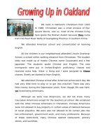 19376 chinese immigration in theusa 