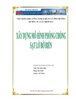 Tiểu luận xây dựng mô hình phòng chống sạc lở bờ biển