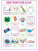 39183 new years eve day pictionary 