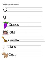 53877 the alphabet  letter g 