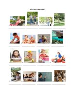 19491 what are they doing 