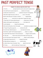 16384 past perfect tense 