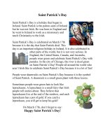 51184 saint patricks day information 