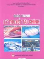 GIÁO TRÌNH lý THUYẾT tài CHÍNH   TRẦN THỊ vân HỒNG 