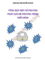 Tổng hợp một số phương pháp giải hệ phương trình điển hình
