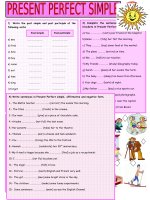 20164 present perfect simple 