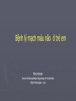 Bệnh lý mạch máu não  ở trẻ em 