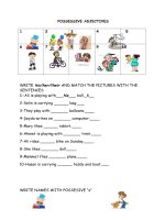 6253 possessive adjectives 