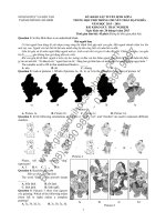 KỲ KHẢO SÁT TUYỂN SINH LỚP 6  BÀI KHẢO SÁT: TRẮC NGHIỆM