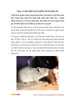 Nguy cơ mắc bệnh truyền nhiễm khi bị chuột cắn