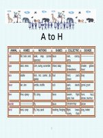854 all about animals a to h 
