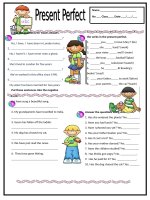 45756 present perfect simple 