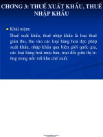 BÀI GIẢNG THUẾ XUẤT KHẨU THUẾ NHẬP KHẨU 