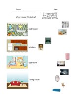 40249 where does this belong 