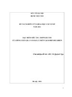 ĐẶC ĐIỂM SIÊU ÂM - DOPPLER TIM CỦA DÒNG CHẢY QUA VAN HAI LÁ NHÂN TẠO SORIN BICARBON