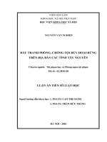 Đấu tranh phòng, chống tội phạm hủy hoại rừng trên địa bàn các tỉnh Tây Nguyên