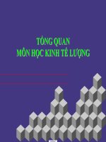 BÀI GIẢNG môn KINH tế LƯỢNG 