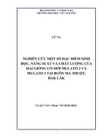 Luận văn thạc sĩ sinh học nghiên cứu một số đặc điểm sinh học, năng suất và chất lượng của hai giống cỏ mới mulato 2 và mulato 3 tại buôn ma thuột, đắk lắk 