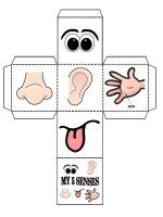 islcollective worksheets beginner prea1 elementary a1 kindergarten elementary school speaking can body fun a my 5 senses 108337479055d7420e26c505 16652162 