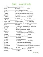 islcollective worksheets elementary a1 elementary school writing past simple te quiz past simple  73467476555c4d21410ab32 90515095 