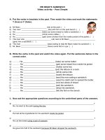 22309 mr beans sandwich 