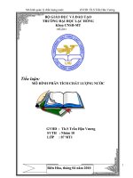 Tiểu luận sử dụng công nghệ GIS vào mô hình phân tích chất lượng nước