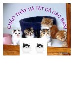 BÀI THUYẾT TRÌNH ĐƯỜNG lối CÁCH MẠNG của ĐẢNG CỘNG sản VIỆT NAM 