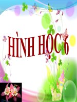 bài giảng tích hợp liên môn hình học 6 trồng cây thẳng hàng (có đầy đủ file đính kèm)