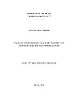 Năng lực cạnh tranh của ngành dệt may việt nam trong điều kiện hội nhập kinh tế quốc tế 