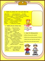 27169 past simple vs past continuous 